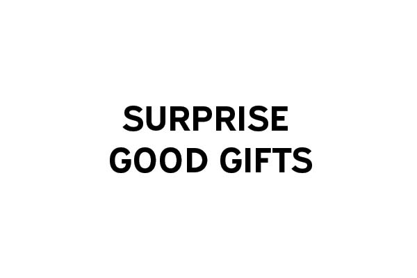 Surprise Good Gifts Logo